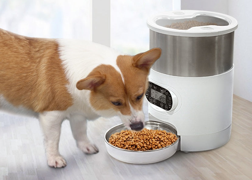Smart Pet Feeder – Distributore automatico di cibo per cani e gatti con controllo tramite app, registrazione vocale, funzione di temporizzazione e ciotola in acciaio inossidabile