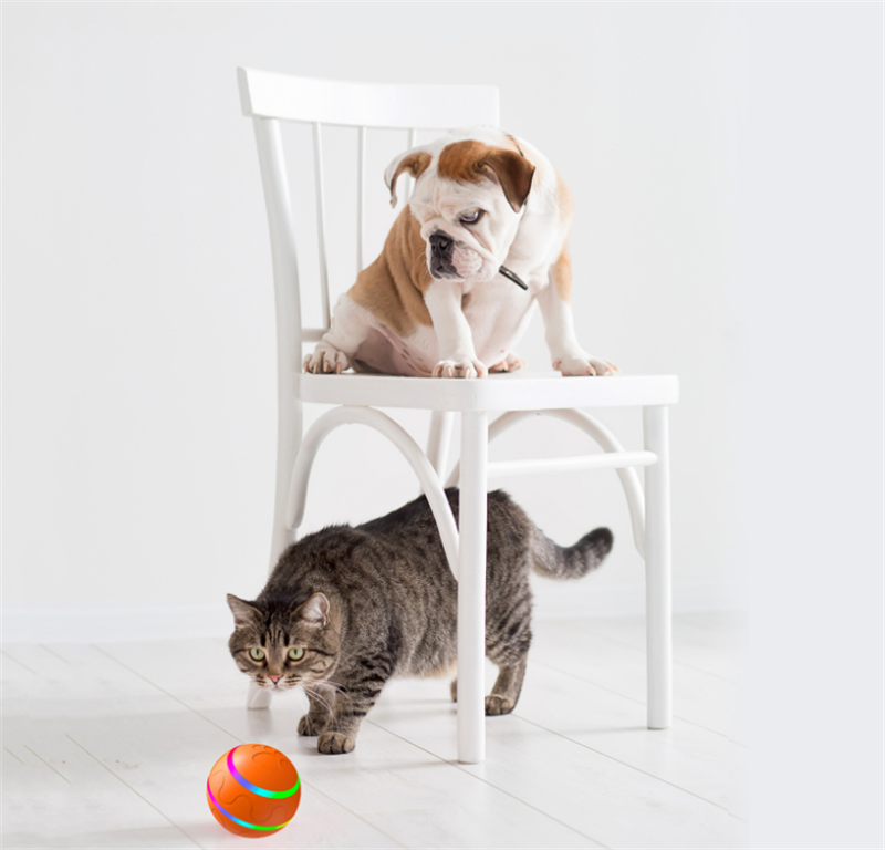 Palla interattiva per animali domestici – Giocattolo intelligente ricaricabile tramite USB con autorotazione per gatti e cani, movimento automatico e rilevamento del movimento
