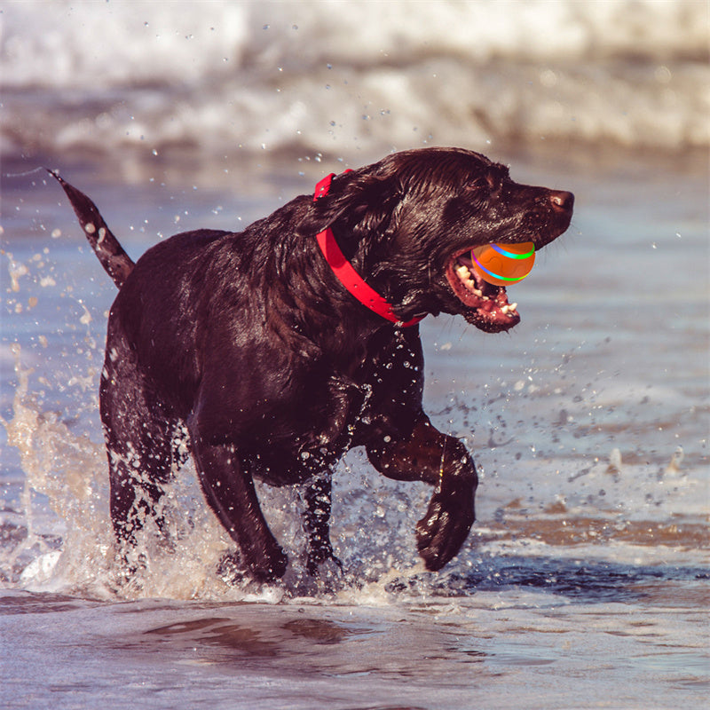 Palla interattiva per animali domestici – Giocattolo intelligente ricaricabile tramite USB con autorotazione per gatti e cani, movimento automatico e rilevamento del movimento