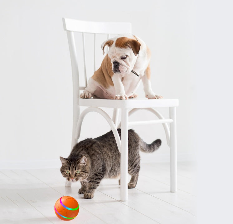 Palla interattiva per animali domestici – Giocattolo intelligente ricaricabile tramite USB con autorotazione per gatti e cani, movimento automatico e rilevamento del movimento