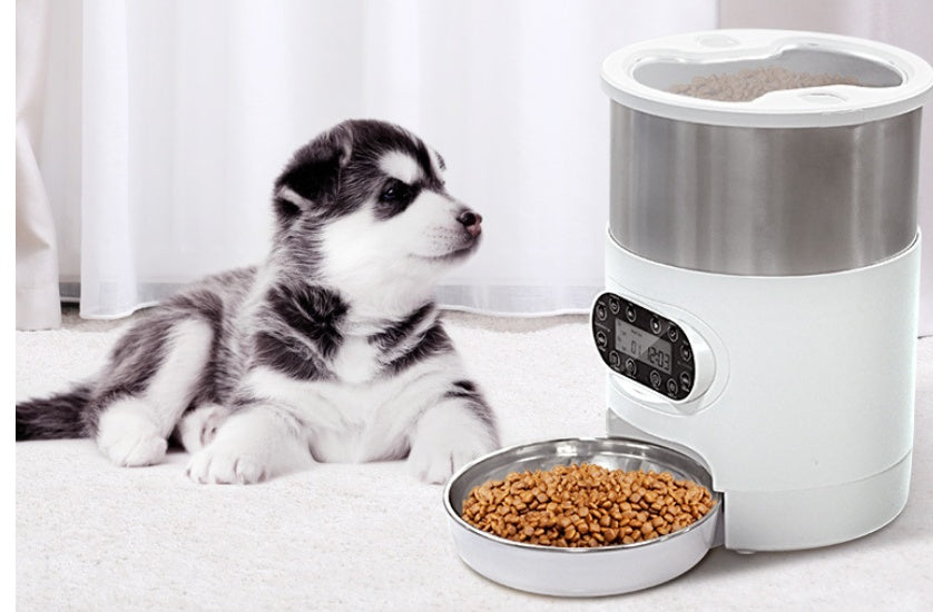 Smart Pet Feeder – Distributore automatico di cibo per cani e gatti con controllo tramite app, registrazione vocale, funzione di temporizzazione e ciotola in acciaio inossidabile