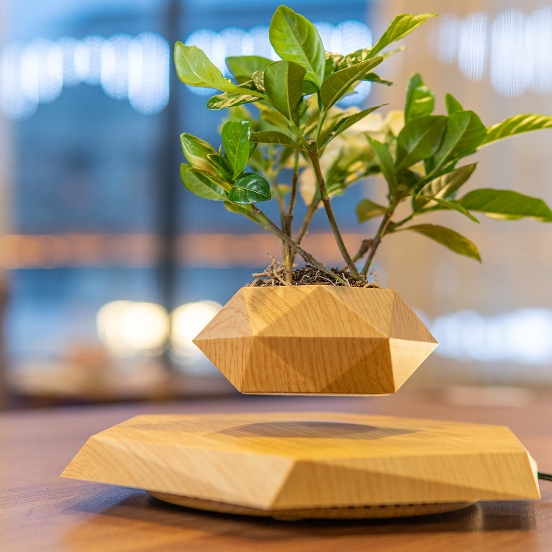 #Color=Wood,Legno