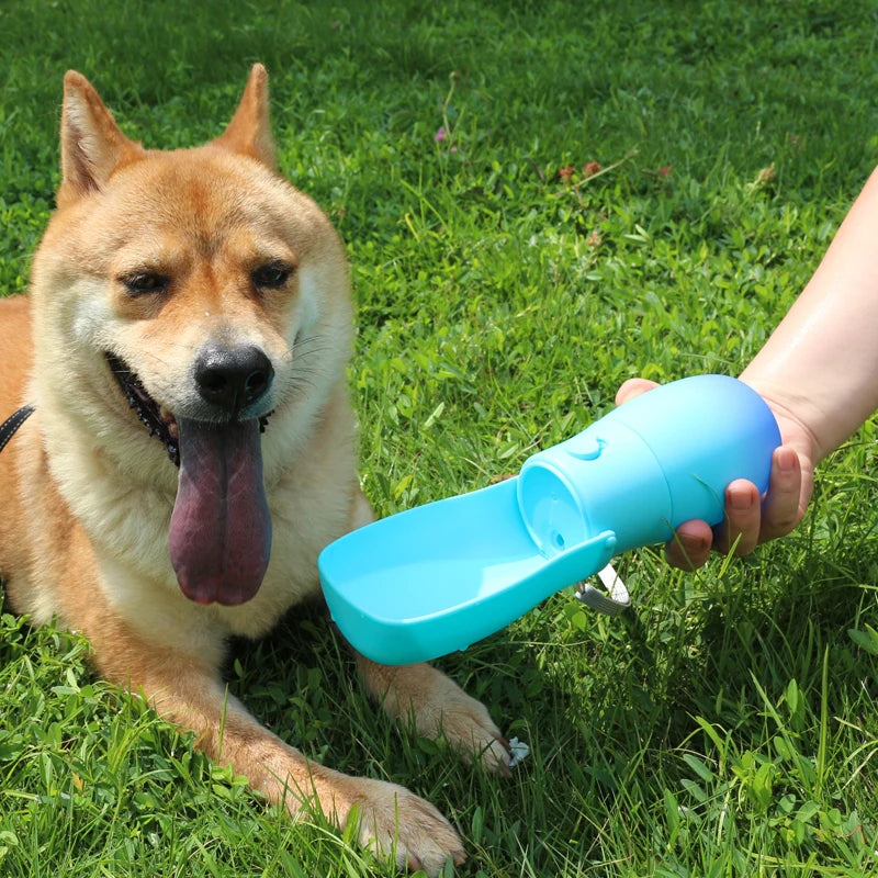 Borraccia per cani - Ciotole e mangiatoie portatili in plastica pieghevoli da 19 once, 2 in 1, con colori sfumati, per esterni