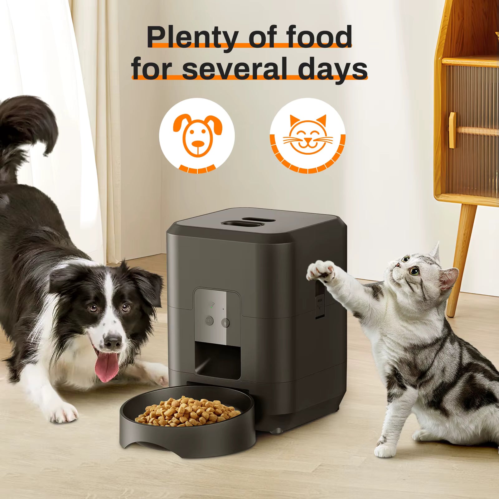 Smart Pet Feeder - Distributore automatico di cibo per cani e gatti da 2 litri con porzioni temporizzate e controllo tramite APP