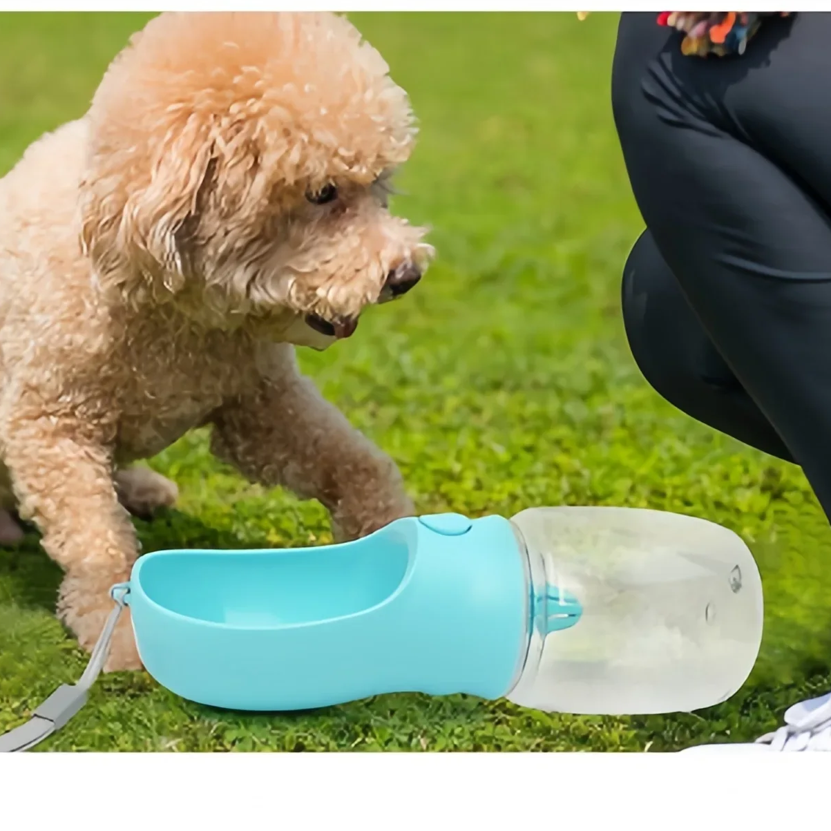 Borraccia Portatile Pet 550ml con Contenitore Cibo e Acqua, Ciotola da Viaggio per Cani e Gatti, Dispenser Antigoccia da Esterno per Cuccioli e Animali di Piccola Taglia