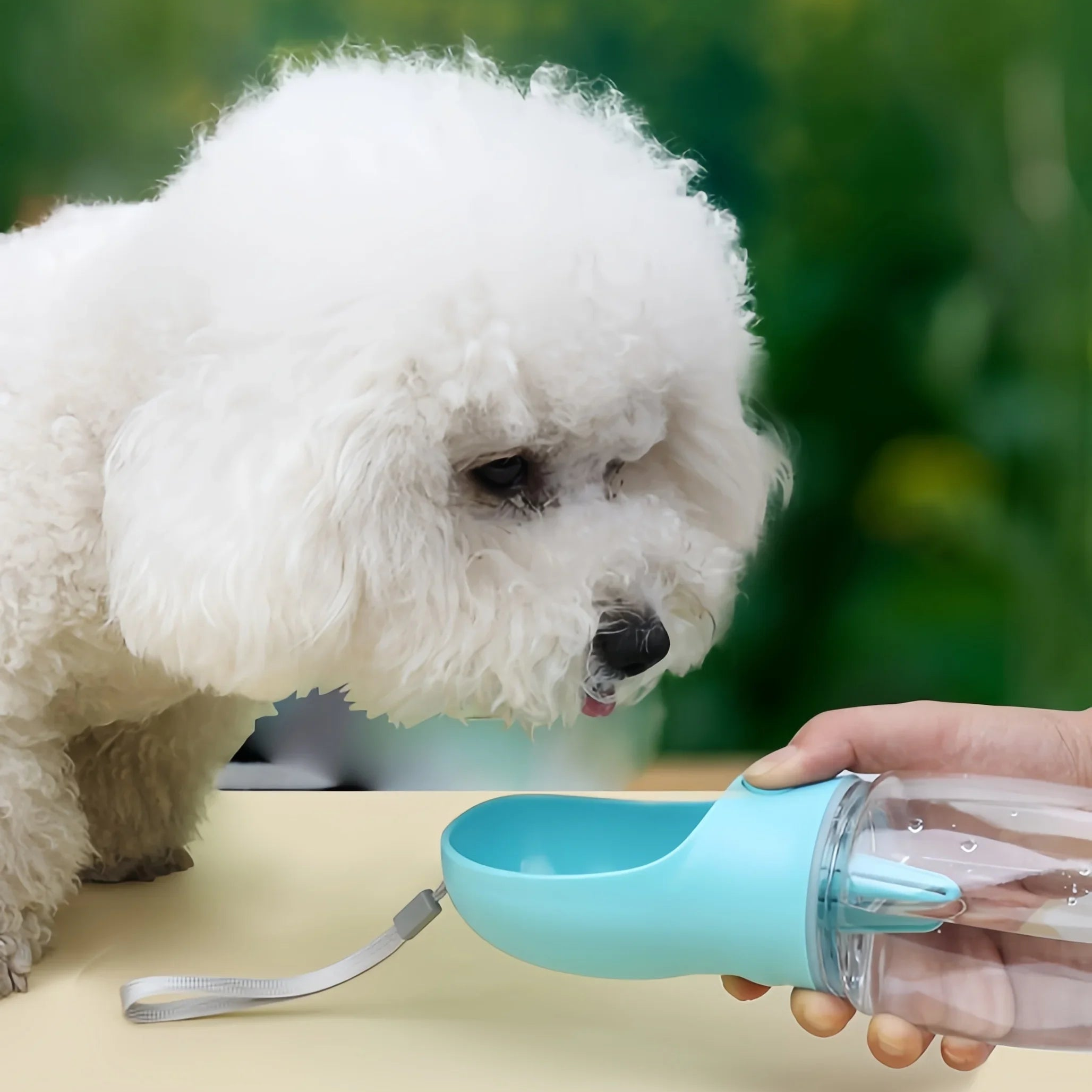 Borraccia Portatile Pet 350ml con Contenitore Cibo e Acqua, Ciotola da Viaggio per Cani e Gatti, Dispenser Antigoccia da Esterno per Cuccioli e Animali di Piccola Taglia