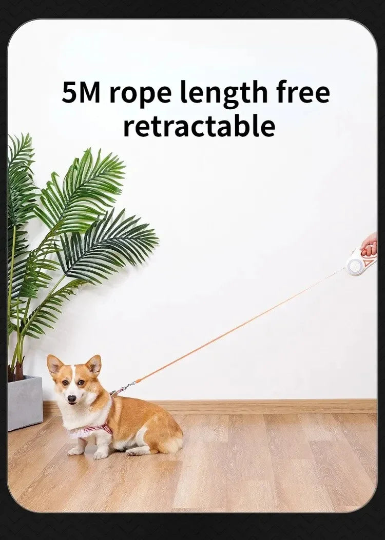 Guinzaglio retrattile per cani – Corda automatica da 3 m/5 m con torcia, impugnatura antiscivolo, rotazione a 360° anti-groviglio, blocco con un pulsante per passeggiate notturne
