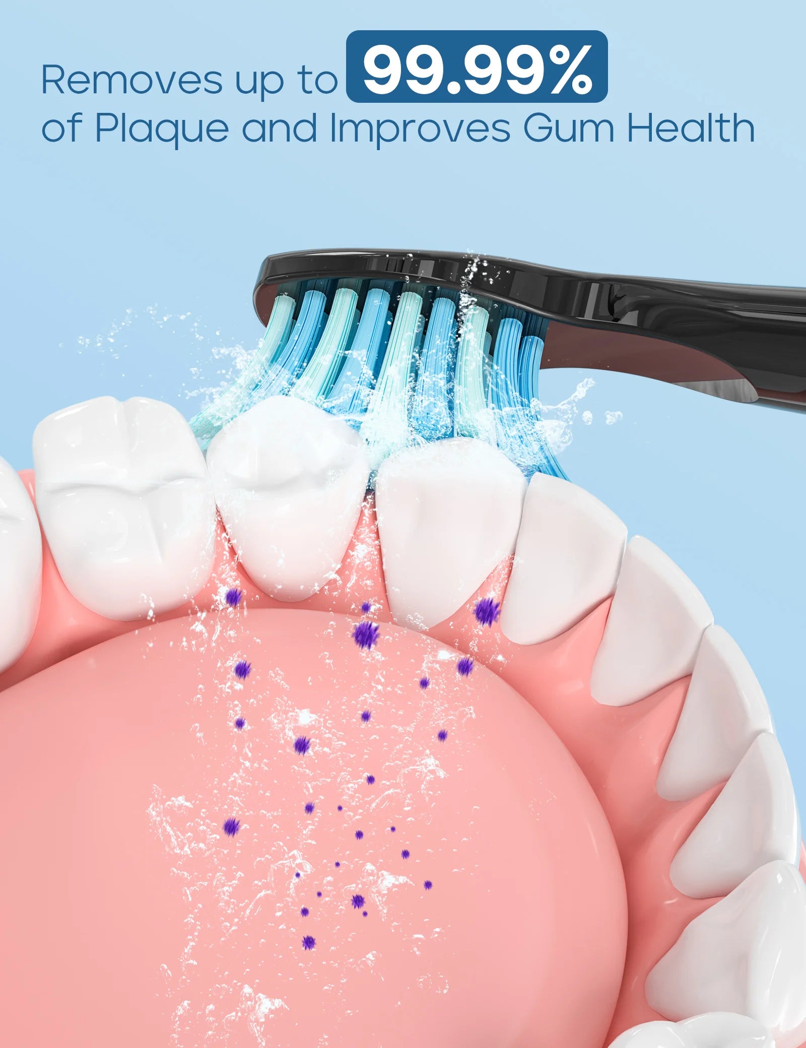 SEAGO Sonic Electric Toothbrush - 8 Replacement Heads, USB Rechargeable, Deep Teeth Cleaning