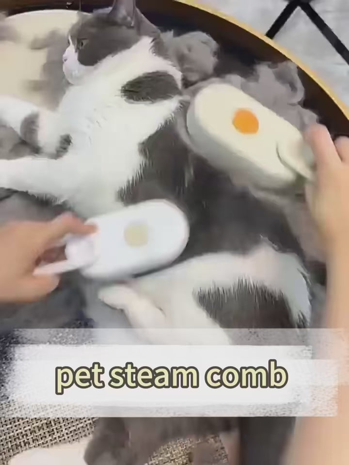 Spazzola a vapore per gatti – 3 in 1 per la rimozione dei peli di animali, pettine per la toelettatura con spray a vapore, prodotti per massaggi e pulizia per gatti