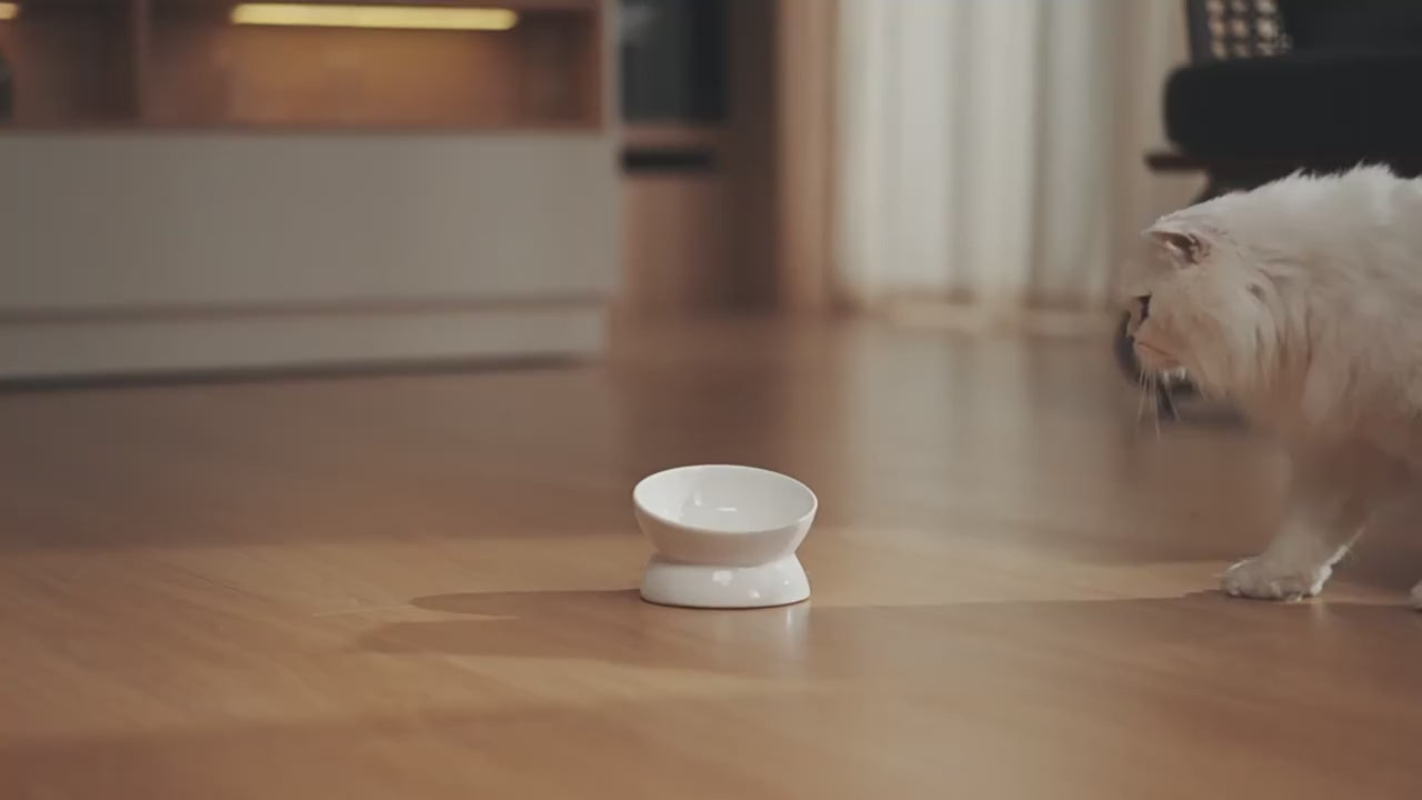 Smart Pet Feeder - Distributore automatico di cibo per cani e gatti da 2 litri con porzioni temporizzate e controllo tramite APP
