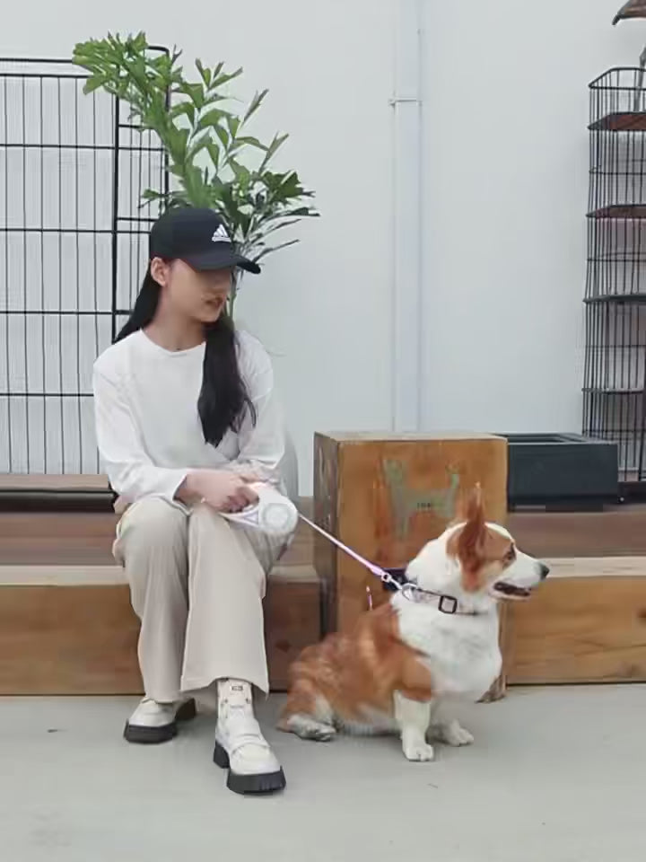 Guinzaglio retrattile per cani – Corda automatica da 3 m/5 m con torcia, impugnatura antiscivolo, rotazione a 360° anti-groviglio, blocco con un pulsante per passeggiate notturne